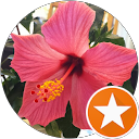 Sabina Bitenc profile picture